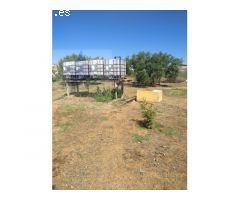 Finca Rustica en MontBrio del Camp