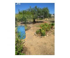 Finca Rustica en MontBrio del Camp