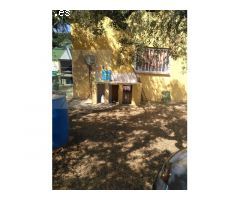 Finca Rustica en MontBrio del Camp