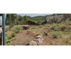 PARCELA PLANA EDIFICABLE CON VISTAS