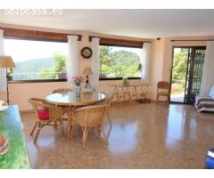 CASA RODEADA DE NATURALEZA
