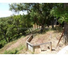 CASA RODEADA DE NATURALEZA
