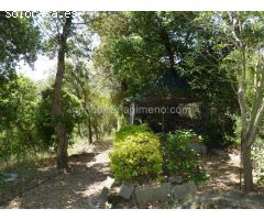 CASA RODEADA DE NATURALEZA