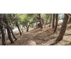 PARCELA - VISTA MAR