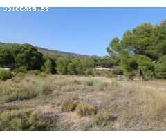Parcela en venta en Ibi