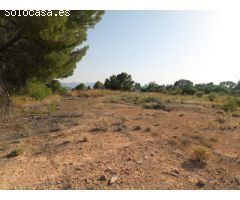 Parcela en venta en Ibi
