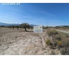 Parcela en venta en Castalla Alicante