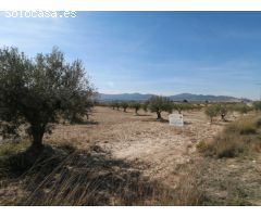Parcela en venta en Castalla Alicante