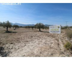 Parcela en venta en Castalla Alicante