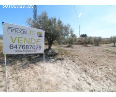 Parcela en venta en Castalla Alicante