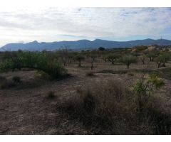 SE VENDE PARCELA RÚSTICA EN IBI (ALICANTE)