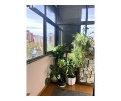 Piso grande, en muy buen estado, 4 habitaciones, 2 baños, 2 balcones integrados
