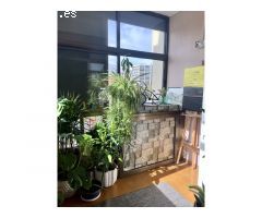 Piso grande, en muy buen estado, 4 habitaciones, 2 baños, 2 balcones integrados