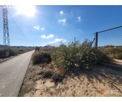 PARCELA DE 10.000 m2 EN LA MARINA CON LUZ INSTALADA Y VALLADA