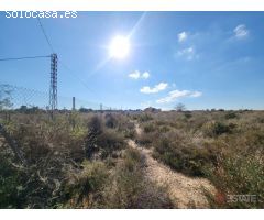 PARCELA DE 10.000 m2 EN LA MARINA CON LUZ INSTALADA Y VALLADA