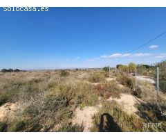 PARCELA DE 10.000 m2 EN LA MARINA CON LUZ INSTALADA Y VALLADA