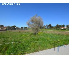 Apartamento en Playa del Ingles