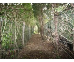 Terreno en venta