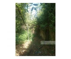 Gran propiedad en venta en el centro de Monforte