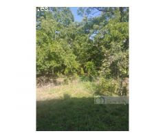 Gran propiedad en venta en el centro de Monforte