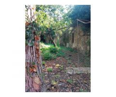 Gran propiedad en venta en el centro de Monforte