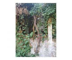 Gran propiedad en venta en el centro de Monforte
