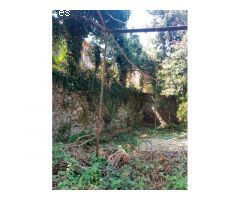 Gran propiedad en venta en el centro de Monforte