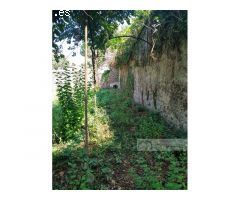 Gran propiedad en venta en el centro de Monforte
