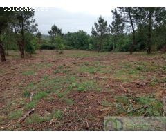 Fincas en venta en Rubián