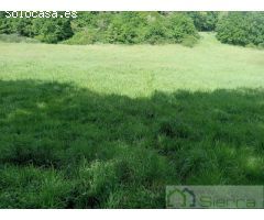 Fincas en venta en Rubián