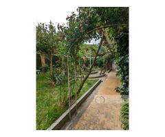 Albergue en pleno funcionamiento