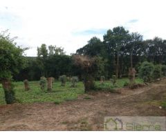 Finca en venta San Fiz