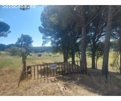 FINCA RUSTICA