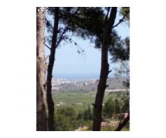 CON VISTAS AL MAR