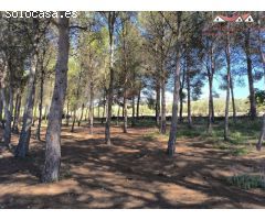 ESPECTACULAR CHALET CON PISCINA Y PISTA DE TENIS