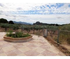 GRAN CASA DE CAMPO DE 273 m y NAVE AGRICOLA DE 100m. Con PISCINA DE 122 m EN