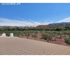 GRAN CASA DE CAMPO DE 273 m y NAVE AGRICOLA DE 100m. Con PISCINA DE 122 m EN