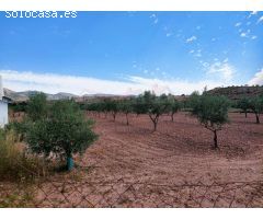 GRAN CASA DE CAMPO DE 273 m y NAVE AGRICOLA DE 100m. Con PISCINA DE 122 m EN