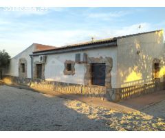 ESPECTACULAR VILLA EN SAX CON 17.000m2 DE PARCELA