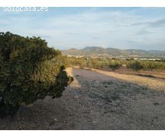 ESPECTACULAR VILLA EN SAX CON 17.000m2 DE PARCELA