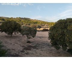 ESPECTACULAR VILLA EN SAX CON 17.000m2 DE PARCELA