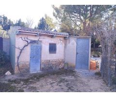 ENCANTADOR CAMPO EN SAX