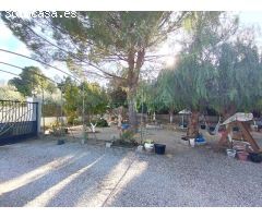 ENCANTADOR CAMPO EN SAX