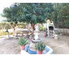 ENCANTADOR CAMPO EN SAX