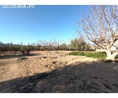 ENCANTADOR CAMPO EN SAX