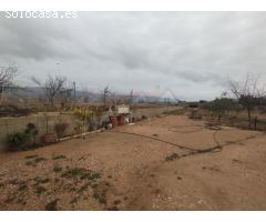 MAGNIFICA CASA EN UBEDA (PINOSO) CON 3000m2 DE PARCELA