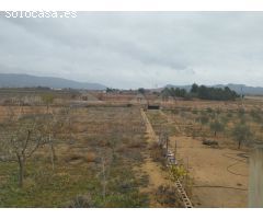 MAGNIFICA CASA EN UBEDA (PINOSO) CON 3000m2 DE PARCELA