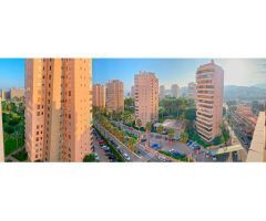 Playamar