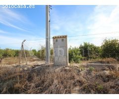 Se vende finca de 6.000 m2 situada en el término municipal de San Miguel de