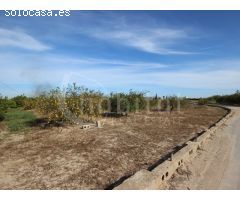 Se vende finca de 6.000 m2 situada en el término municipal de San Miguel de